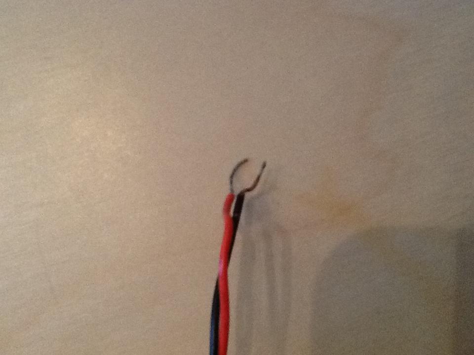 image.jpeg