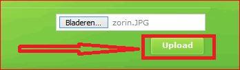 2.JPG