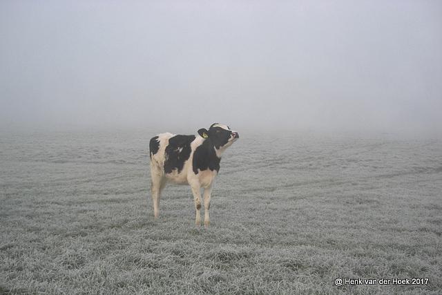 CIMG8506.JPG